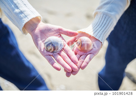 砂浜で拾った貝を手にのせる若い女性の手 砂浜で拾った貝を手にのせる若い女性の手 101901428