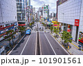 車や観光の人が行き交う大都会の風景 101901561