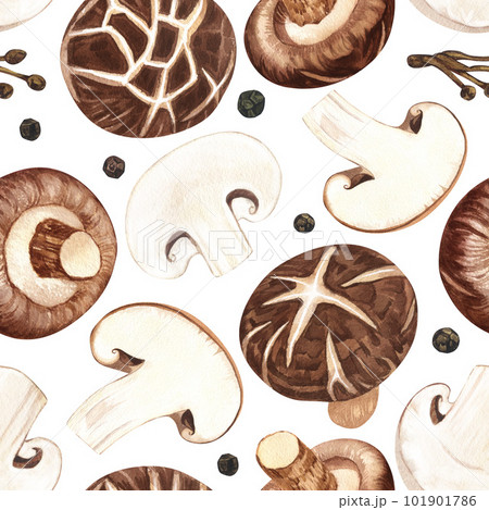 Watercolor seamless pattern shiitake medicinal mushroom, adaptogenic plant. Hand-drawn illustration isolated on white background. Perfect concept design for healthy chinese medicine popular superfood Watercolor seamless pattern shiitake medicinal mushroom, adaptogenic plant. Hand-drawn illustration isolated on white background. Perfect concept design for healthy chinese medicine popular superfood 101901786
