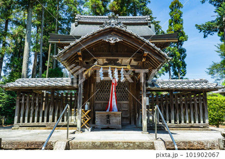 京都亀岡市の篠村八幡宮 足利高氏旗あげの地 本殿 京都亀岡市の篠村八幡宮 足利高氏旗あげの地 本殿 101902067