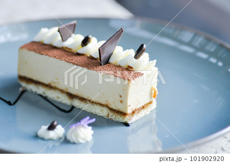 cake or tiramisu cake , coffee cake cake or tiramisu cake , coffee cake 101902920