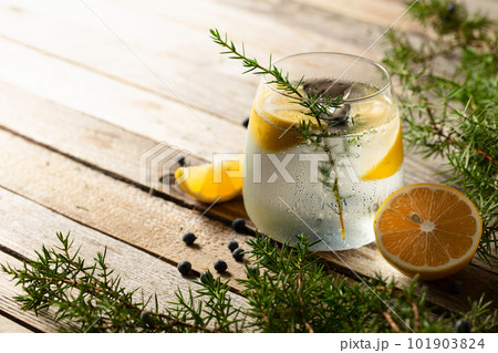 Gin tonic cocktail with lemon, juniper branches, and berries. 101903824