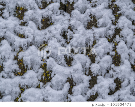 The texture of the adhesion of snow on a concrete wall. 101904475