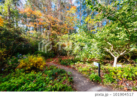 George Tindale Memorial Gardens in Australia George Tindale Memorial Gardens in Australia 101904517