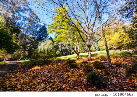 Alfred Nicholas Memorial Gardens in Australia Alfred Nicholas Memorial Gardens in Australia 101904662