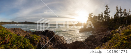 Rocky Shore on West Coast of Pacific Ocean in Tofino. Nature Background 101904771
