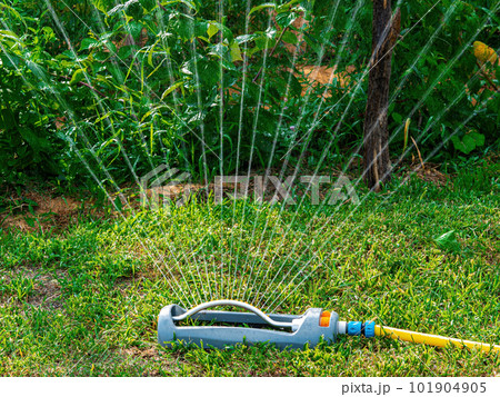 Irrigation system for watering a green grass lawn. Irrigation system for watering a green grass lawn. 101904905