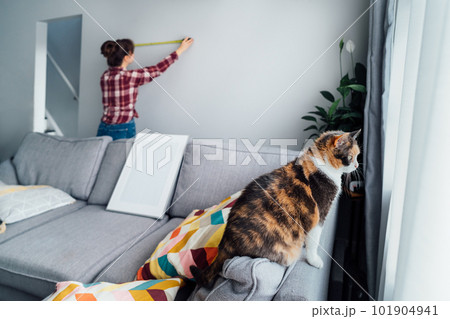 Focus on hone pet cat with blirred young woman doing measuring with a measure tape on the wall. Housekeeping work. Doing repair herself. DIY, gender equality in work concept. Focus on hone pet cat with blirred young woman doing measuring with a measure tape on the wall. Housekeeping work. Doing repair herself. DIY, gender equality in work concept. 101904941