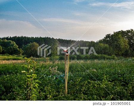 Irrigation system for watering water in agriculture. 101905001