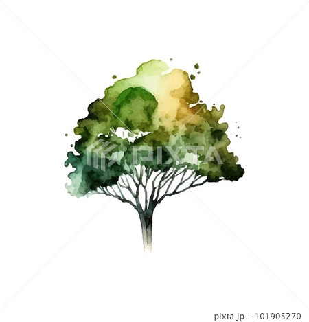 Watercolor tree hand draw vector nature painting Watercolor tree hand draw vector nature painting 101905270