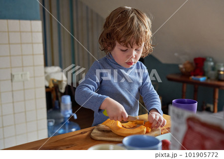 A little boy works in the kitchen, he cuts a pumpkin 101905772