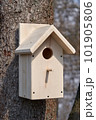 CLoseup of a birdhouse on a tree stem 101905806
