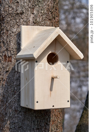 CLoseup of a birdhouse on a tree stem 101905806