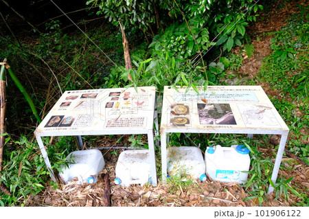 杵築市 御搭山古墳 杵築市 御搭山古墳 101906122