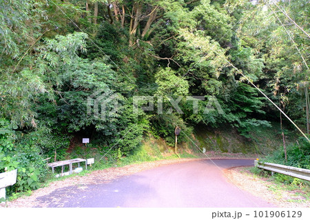 杵築市　御搭山古墳 101906129