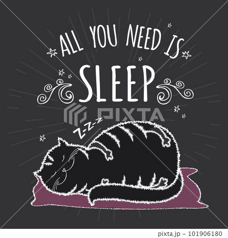 Adorable fat and black cat is sleeping Adorable fat and black cat is sleeping 101906180