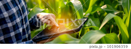 Smart farmer using digital tablet to examining quantity and qual 101906359