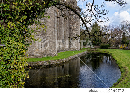 Nunney Castle, Somerset, England - United Kingdom 101907124