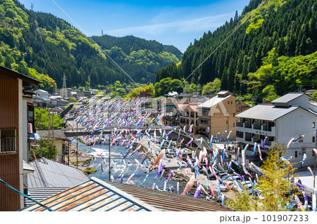 杖立温泉鯉のぼり祭り(熊本県阿蘇郡小国町) 杖立温泉鯉のぼり祭り(熊本県阿蘇郡小国町) 101907233