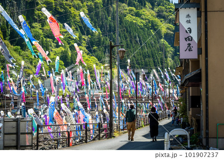 杖立温泉鯉のぼり祭り(熊本県阿蘇郡小国町) 杖立温泉鯉のぼり祭り(熊本県阿蘇郡小国町) 101907237