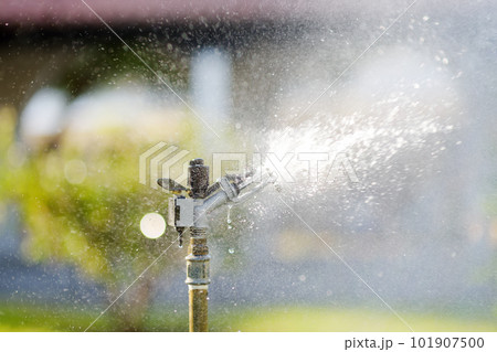 Garden sprinkler in sunny backyard. 101907500