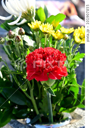 お墓参りの花束 お墓参りの花束 101907855