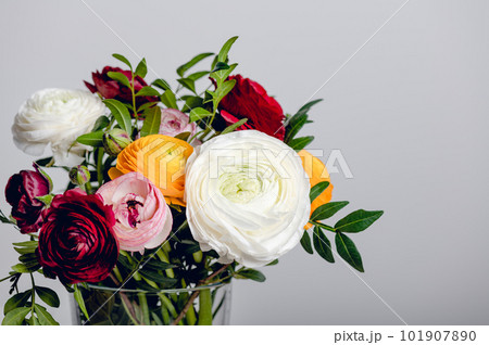 Floral arrangments of tender ranunculus flowers 101907890