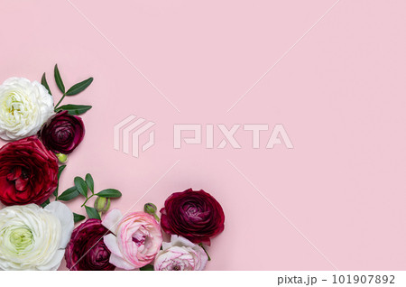 Floral arrangments of tender ranunculus flowers 101907892