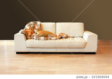 White sofa 101908084