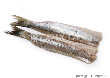 自家製マチェス 101909480