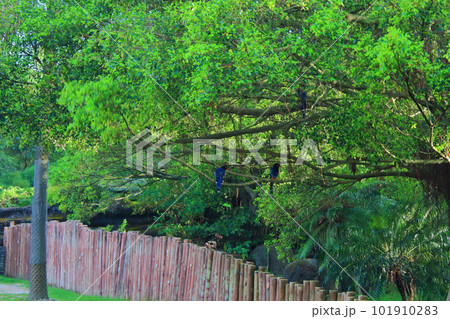 景色 風景 自然 101910283