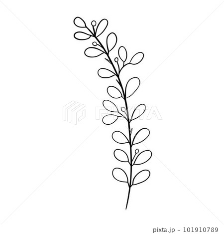Digital illustration of a cute black outline doodle spring theme frame twig with leaves in scandinavian style. Print for clothes, poster, banner, postcard, web design, coloring. 101910789