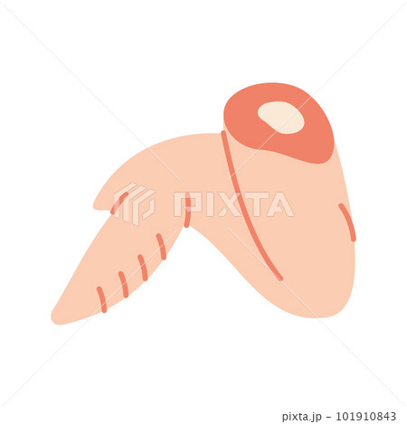 Chicken wing icon. Fresh chicken meat silhouette. Vector illustration. Chicken wing icon. Fresh chicken meat silhouette. Vector illustration. 101910843