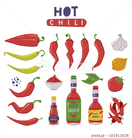 Spicy Hot Red Chili Pepper Vegetable Ingredient for Culinary and Spicy Sauce Bottle Vector Set Spicy Hot Red Chili Pepper Vegetable Ingredient for Culinary and Spicy Sauce Bottle Vector Set 101911028