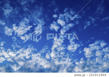 White cumulus clouds against the blue sky. White cumulus clouds against the blue sky. 101911904