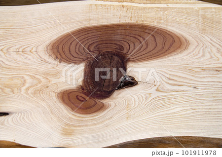 Texture of a longitudinal section of a tree trunk. Texture of a longitudinal section of a tree trunk. 101911978