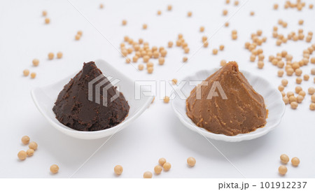 大豆と味噌|赤みそと米こうじ味噌 比較イメージ 大豆と味噌|赤みそと米こうじ味噌 比較イメージ 101912237