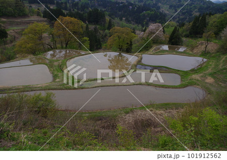 儀明の棚田 101912562