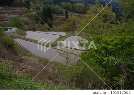 儀明の棚田 儀明の棚田 101912566