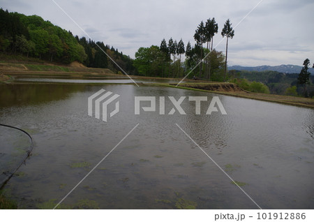 権兵田の棚田 101912886