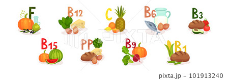 Food Enriched with Vitamins and Minerals Group Vector Set Food Enriched with Vitamins and Minerals Group Vector Set 101913240