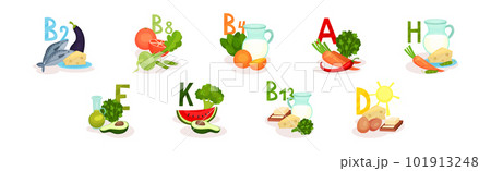 Food Enriched with Vitamins and Minerals Group Vector Set Food Enriched with Vitamins and Minerals Group Vector Set 101913248