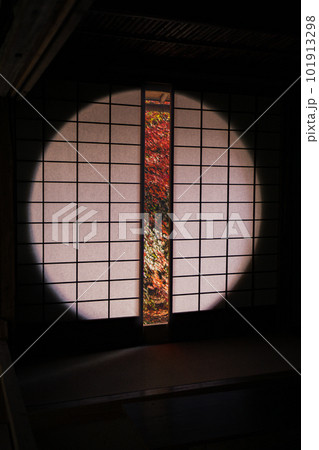 京都北山の常照寺の紅葉　茶室　遺芳庵のもみじ 101913298