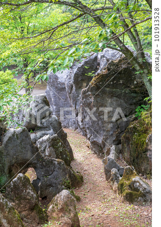 嘉多山公園 カルスト 栃木県佐野市 嘉多山公園 カルスト 栃木県佐野市 101913528