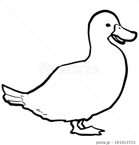 Duck Drawing Images – Browse 110,259 Stock Photos, Vectors, and Video |  Adobe Stock