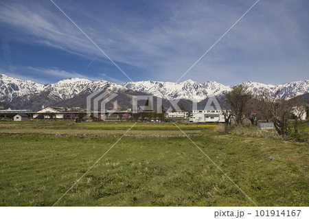 春の白馬連山と白馬駅　長野県白馬村 101914167