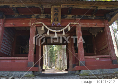戸隠神社奥社参道の随神門と杉並木　長野県長野市 101914217