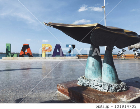 メキシコで鯨に会える町　La Paz Mexico 101914705