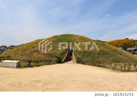 奈良・藤ノ木古墳の墳丘 奈良・藤ノ木古墳の墳丘 101915253