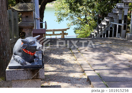 神社の境内に置かれた牛の像 神社の境内に置かれた牛の像 101915256